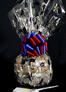Medium Cellophane - Graduation Cap Cellophane - Red & Blue Bow - 24 Cookies and Brownies