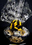 Large Basket - Graduation Cap Cellophane - Yellow & Black Bow - 36 Cookies and Brownies